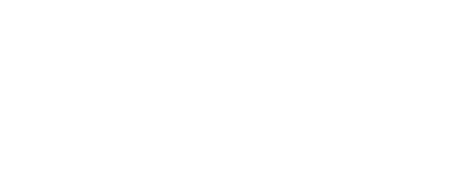 Next Mountain Advisors Logo